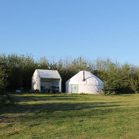 Mill Haven Place Glamping Yurt 3 Haverfordwest Zewnętrze zdjęcie