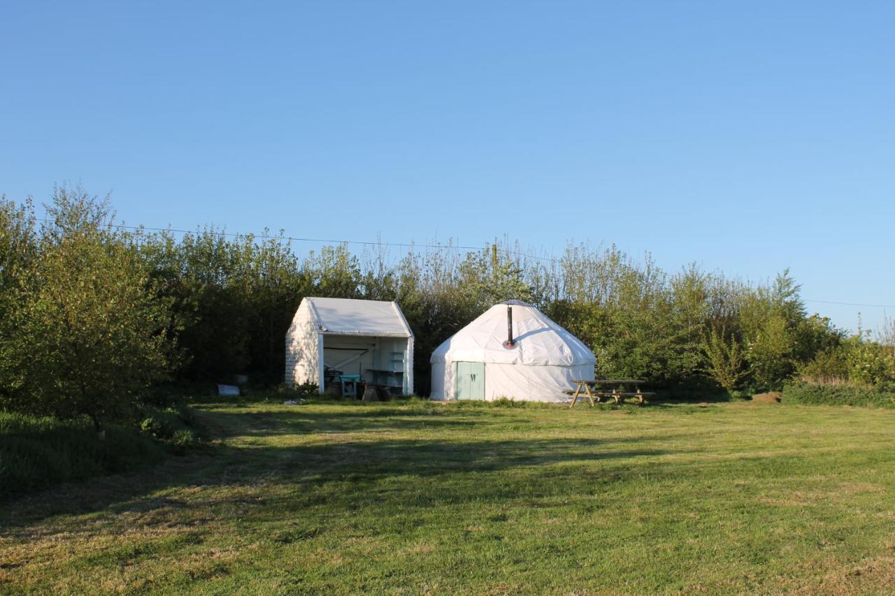 Mill Haven Place Glamping Yurt 3 Haverfordwest Zewnętrze zdjęcie