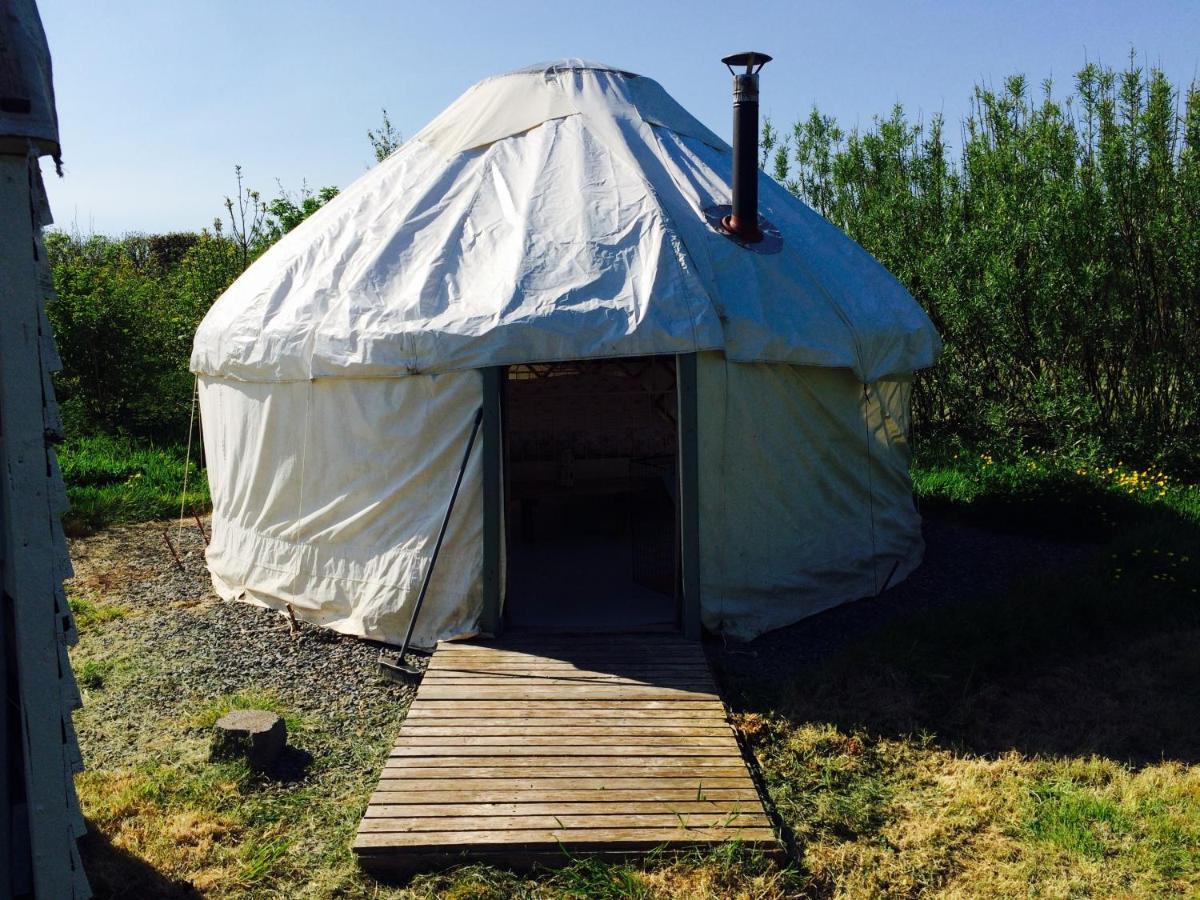 Mill Haven Place Glamping Yurt 3 Haverfordwest Zewnętrze zdjęcie