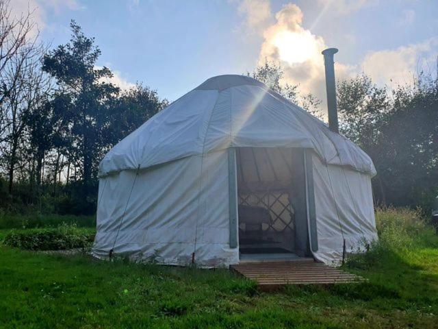 Mill Haven Place Glamping Yurt 3 Haverfordwest Zewnętrze zdjęcie