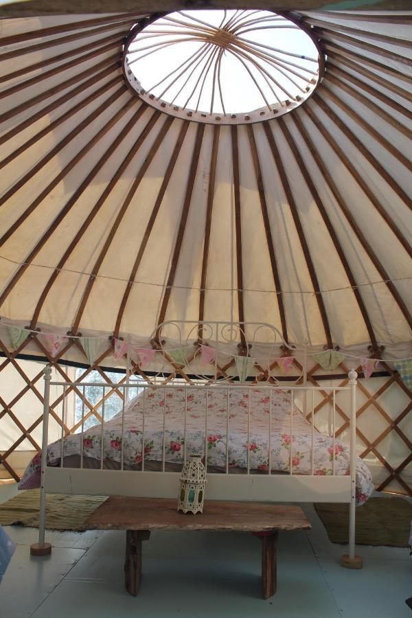 Mill Haven Place Glamping Yurt 3 Haverfordwest Zewnętrze zdjęcie
