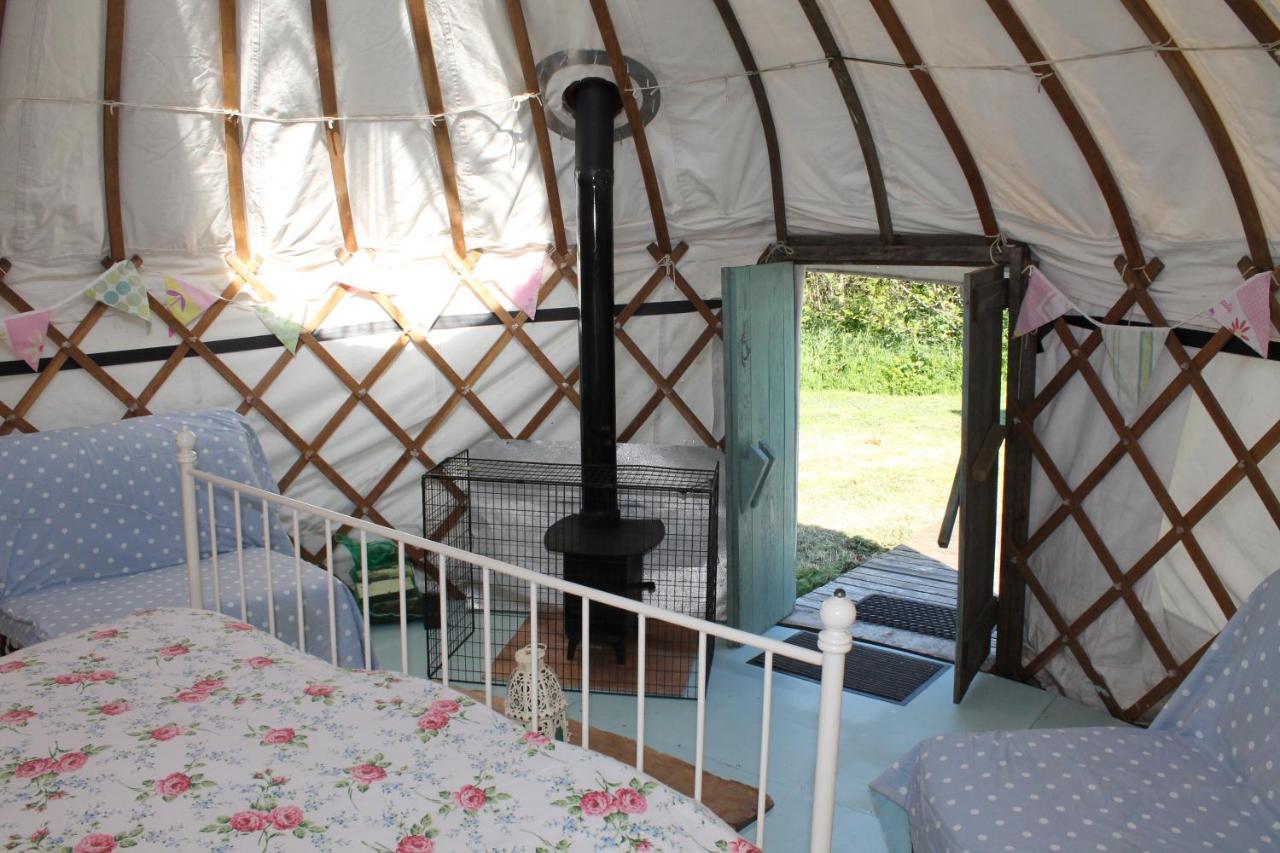 Mill Haven Place Glamping Yurt 3 Haverfordwest Zewnętrze zdjęcie