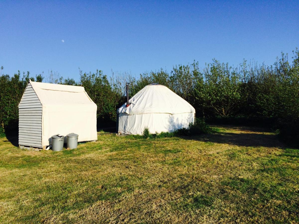 Mill Haven Place Glamping Yurt 3 Haverfordwest Zewnętrze zdjęcie