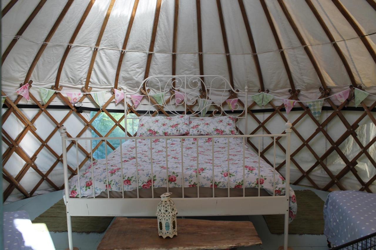 Mill Haven Place Glamping Yurt 3 Haverfordwest Zewnętrze zdjęcie
